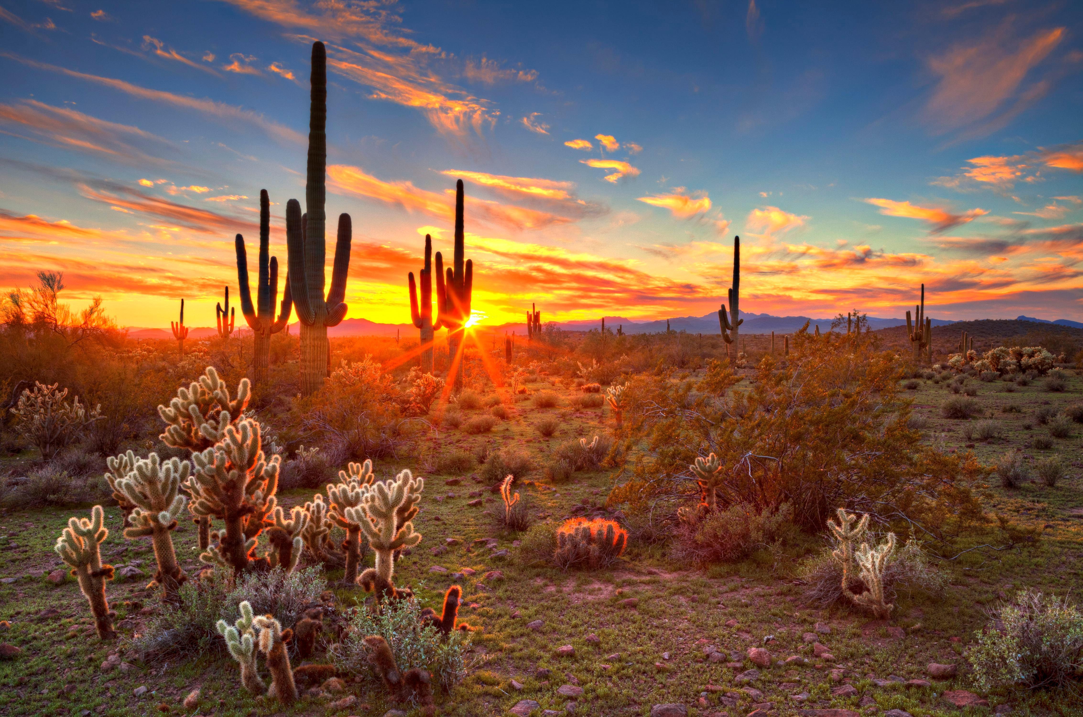 Holiday Inn Express Hotel & Suites Scottsdale - Old Town, An Ihg Hotel Exteriör bild